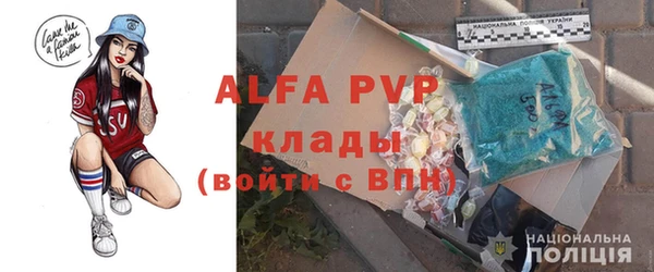 Альфа ПВП Горняк