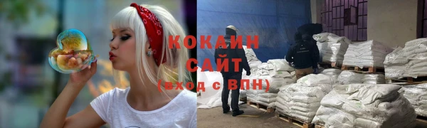 Альфа ПВП Горняк
