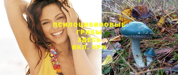 прущие крисы Горнозаводск