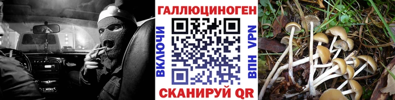OMG ТОР  купить наркотик  Зеленогорск  Псилоцибиновые грибы Magic Shrooms 
