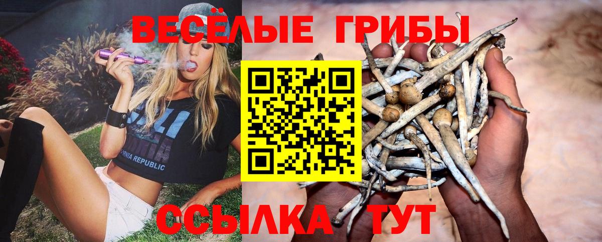 Псилоцибиновые грибы Cubensis Зеленогорск