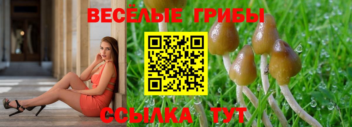 Зеленогорск  Галлюциногенные грибы ЛСД  Галлюциногенные грибы GOLDEN TEACHER  Вход с VPN 