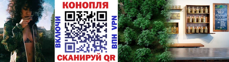 гидра маркетплейс  Зеленогорск  Марихуана индика  наркошоп 